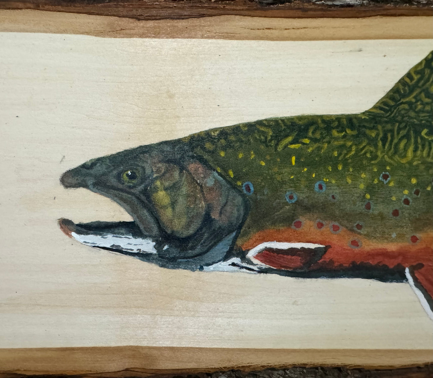 Brook Trout Live Edge Plank