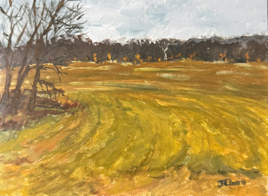 Missouri Field