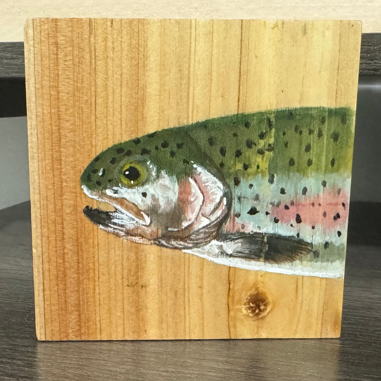 Trout Coasters