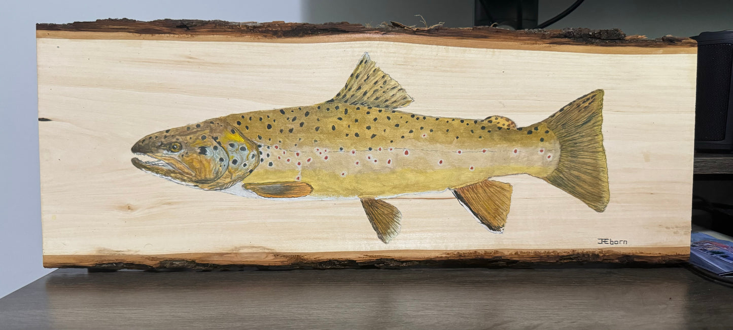 Brown Trout Live Edge Plank