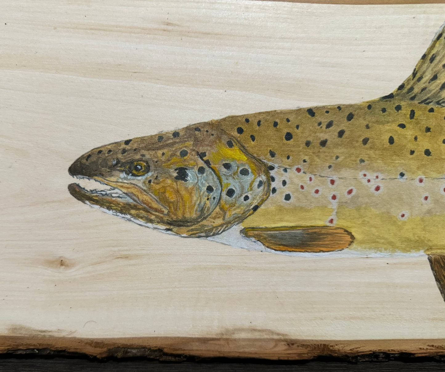 Brown Trout Live Edge Plank