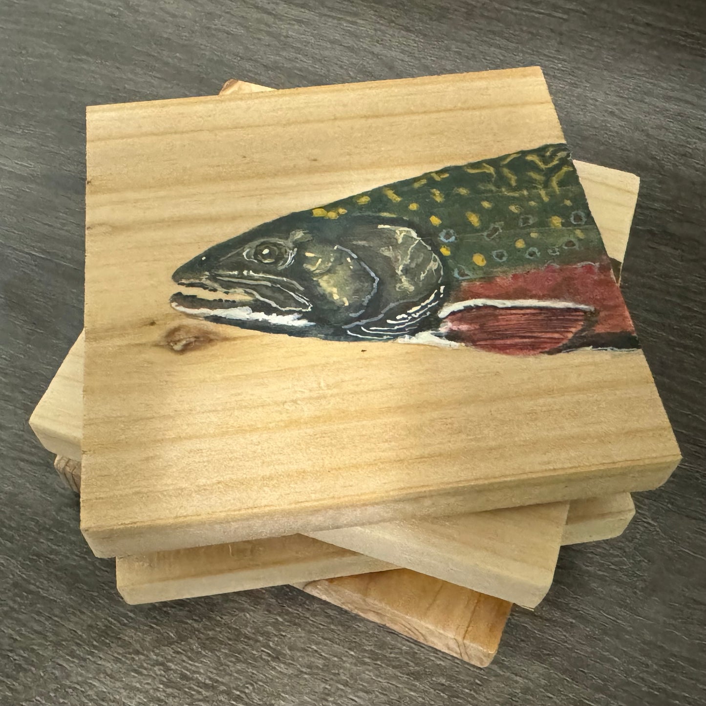 Trout Coasters