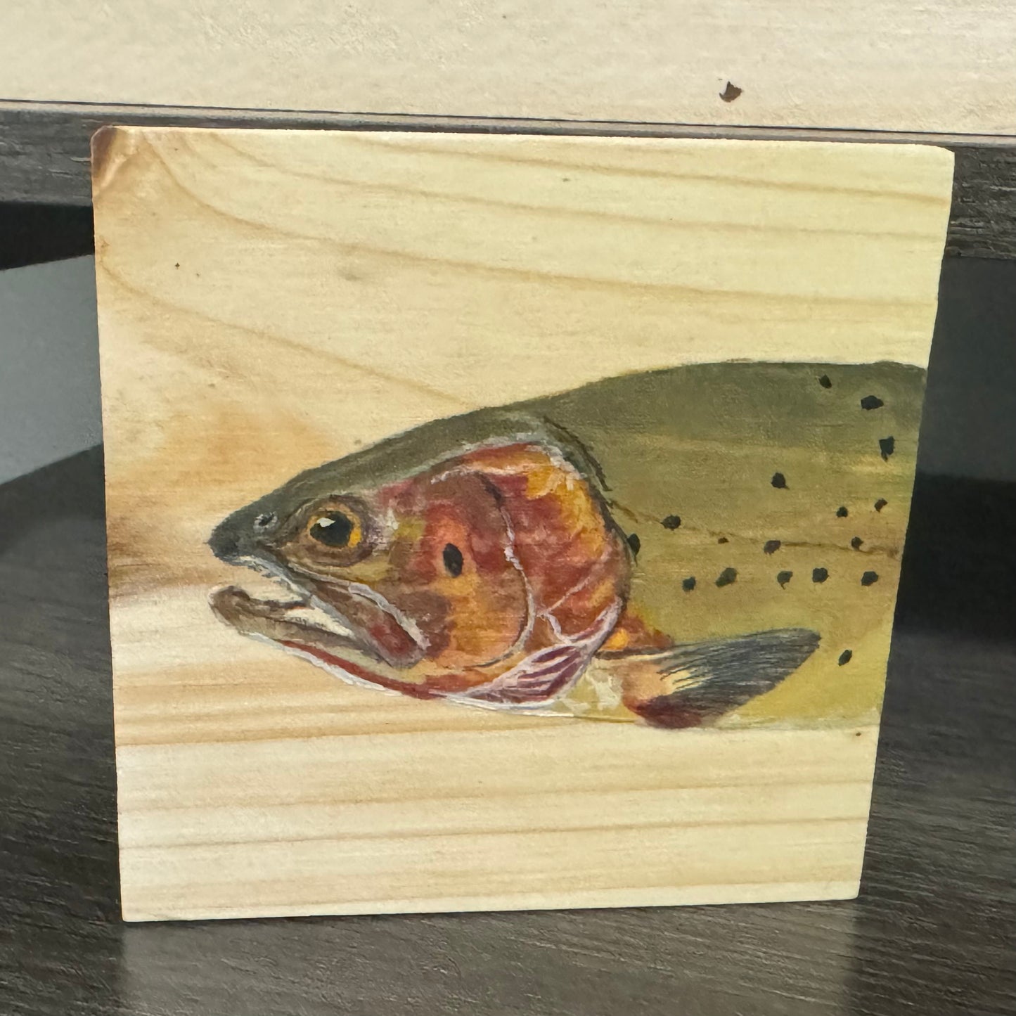 Trout Coasters