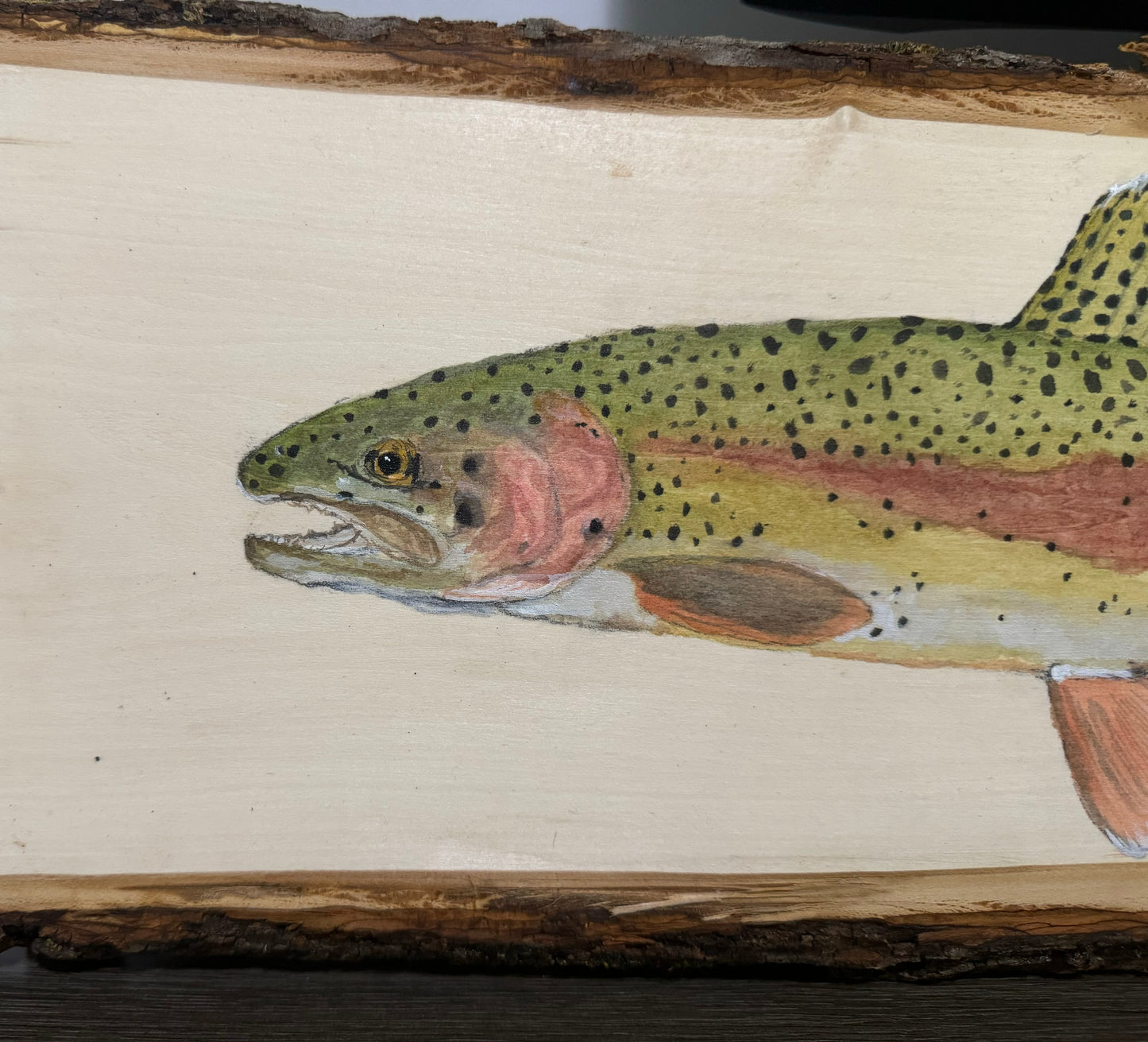 Rainbow Trout Live Edge Plank