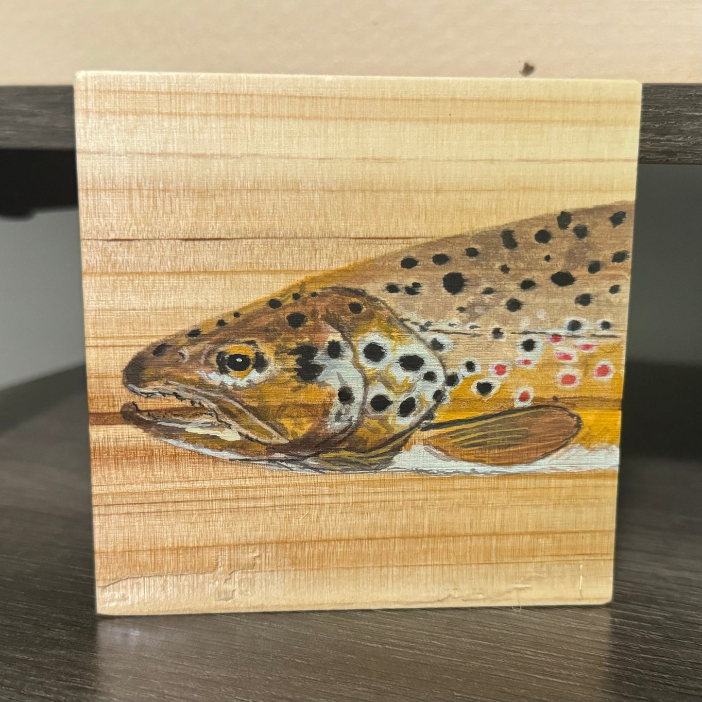 Trout Coasters