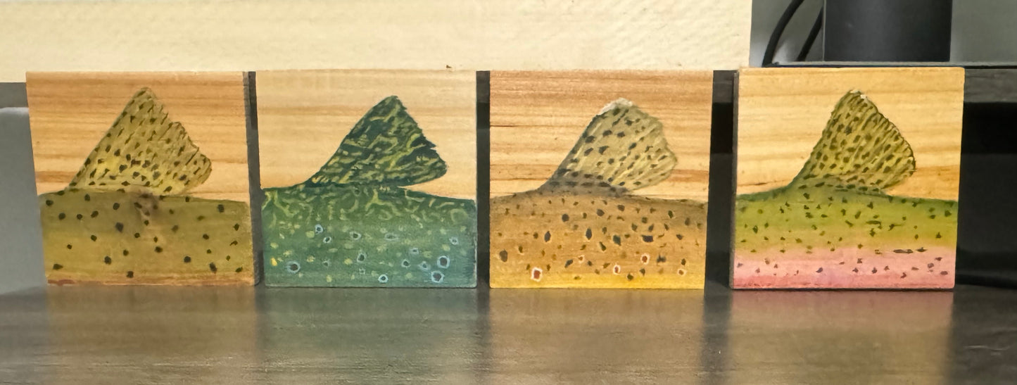 Trout Backs Coasters