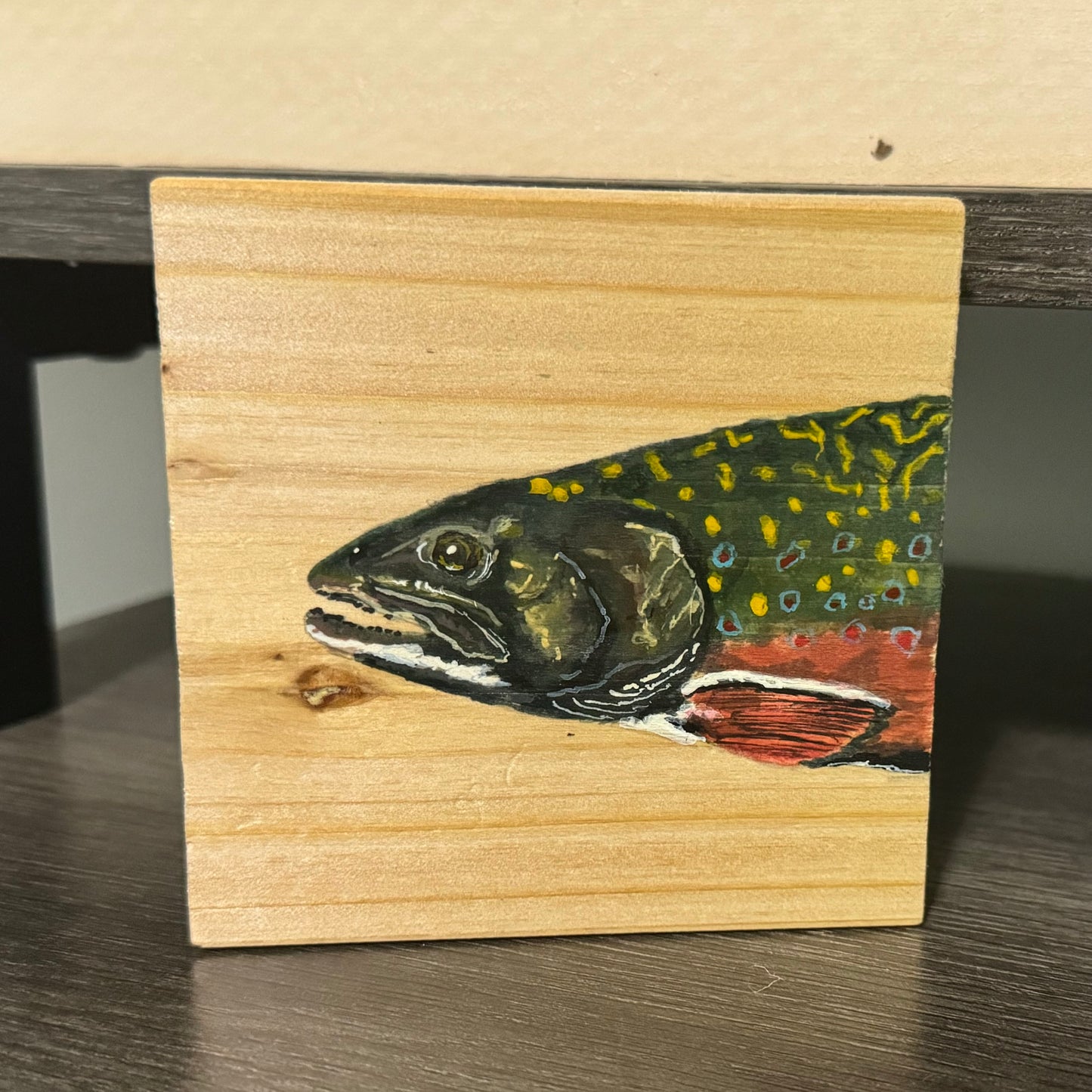 Trout Coasters