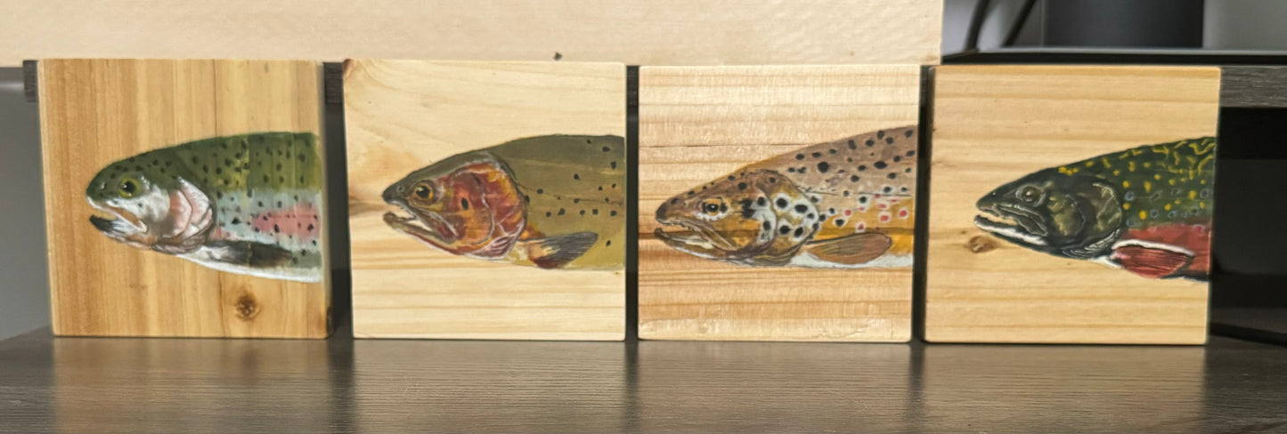 Trout Coasters