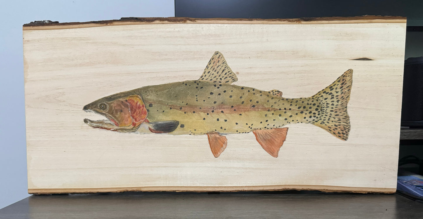 Cutthroat Trout Live Edge Plank